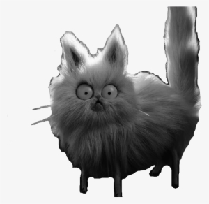 Whiskers - Pomeranian