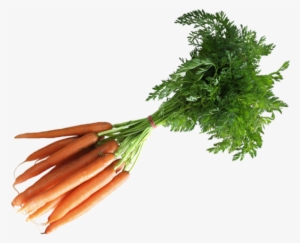 Carrots - Health