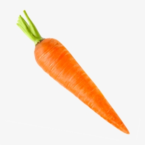 Features - Carrot Vegetables