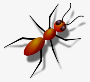 Ant - Ants Clipart Png