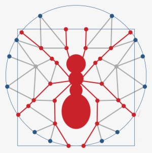 Ant 0 - 0 - - Ant Network