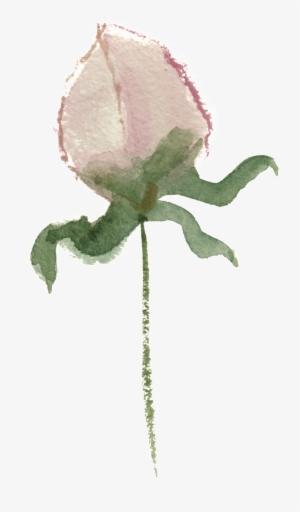 Watercolor Painting