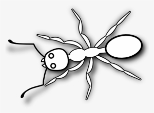 Ant Line Drawing - Ant Black And White Png