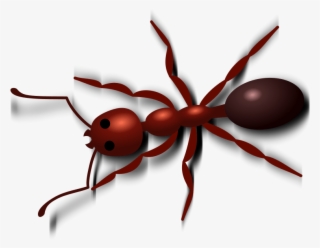 Free Png Ant Png Images Transparent - Red Ant Clip Art