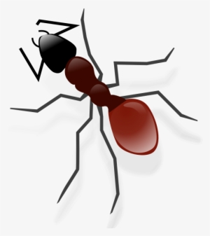 Ant Png Transparent Image - Desenhos De Insetos De Jardim