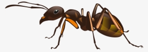 Ant Clipart Big Ant - Ant