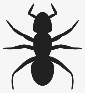 This Free Icons Png Design Of Ant Icon