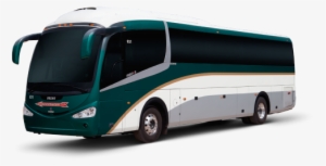 Tour Bus Service