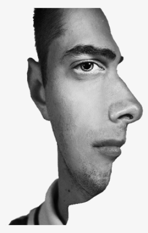 Click To Expand - Portrait Illusion
