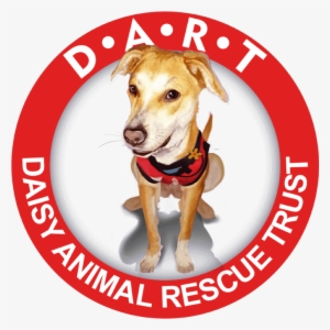 Daisy Animal Rescue Trust - De Vera's Medical Center