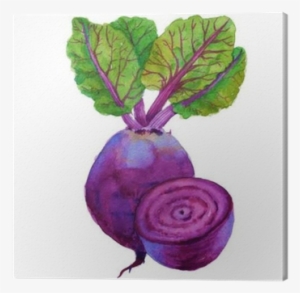 Beets With Leaves - Watercolor Painting