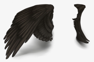 Raven