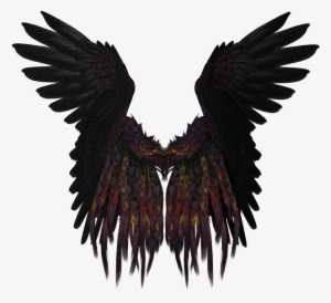 Black Wings Wing Blackwings Alasnegras Alas - Sayap Hitam