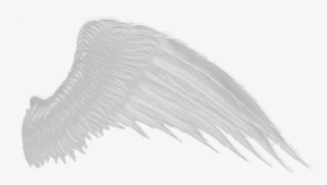 Wings Png - White Wings Transparent Background