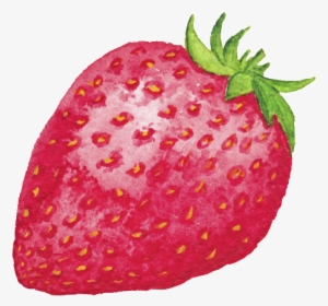 Hand Drawn Red Strawberry Cartoon Transparent Fruit - Fruit