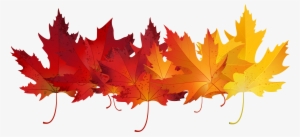 Red Autumn Leaves Transparent Clip Art Image Gallery