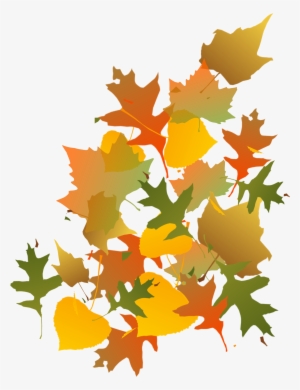 Fall Leaves Image - Autumn Leaves Clip Art