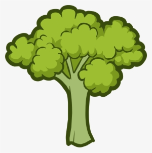 Broccoli - Broccoli Png