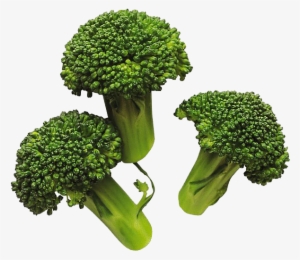 Broccoli Png Image - Broccoli Png