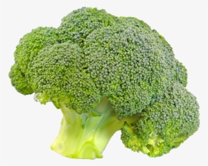 Peel N Stick Poster Oflaminated Poster Vegetable Fresh - Broccoli Transparent Background