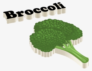 Broccoli