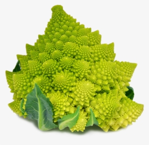 Vega Romanesco Broccoli - Broccoflower