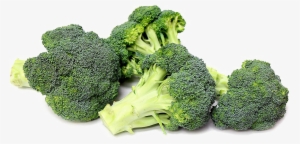 Broccoli Png Transparent - Broccoli