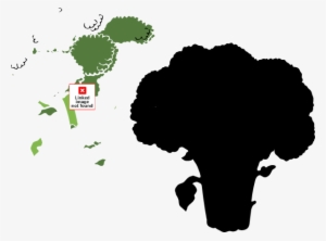 How To Set Use Broccoli 1 Color Svg Vector