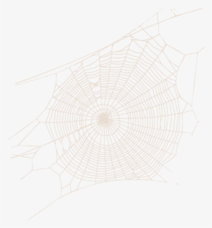 Spider Web Transparent Png - Spider Web