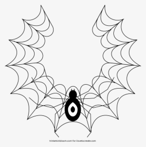 Spiderweb Design - Design