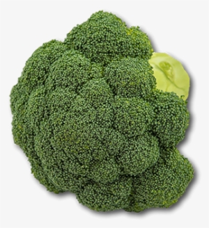 Australia Broccoli - Broccoli