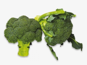 Broccoli - Leaves Vegetables