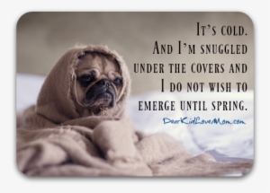 But It's Cold - Pug In A Blanket Dog Journal: 150 Page Lined Notebook/diary