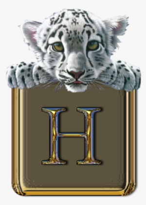 White Tiger Alphabet ~ Jewels Art Creation - Family Of Earth [book]