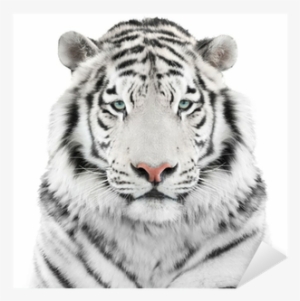 White Tiger Head Throw Blanket