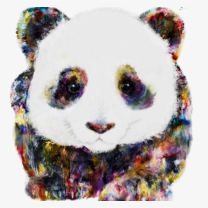 Panda With Tattoo Color
