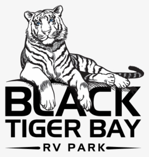 Aaron Johnson • - Black Tiger Logo Png
