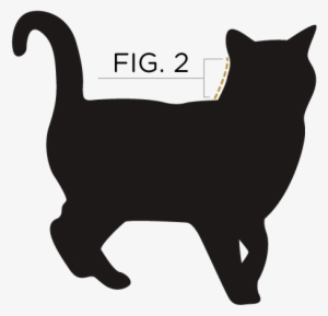 Measure From The Base Of Your Cat's Ears To Their Shoulder - Cat Vector