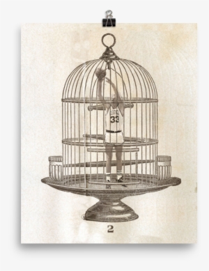 larry bird in a cage by johnny hollick - flying fish art print - mini by vin zzep