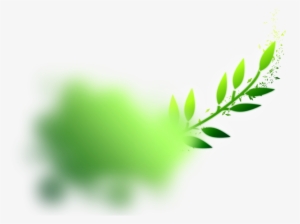 Png Green