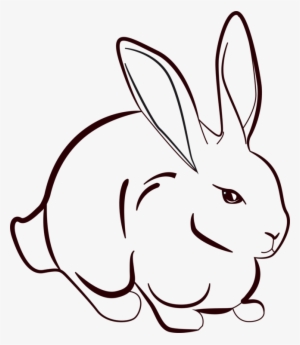 Line Art Drawing Rabbit Hare - Rabbit Line Art Png