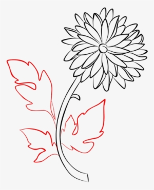 Svg Transparent Stock Chrysanthemum How To Draw Flowers - Chrysanthemum Drawing