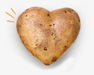 Potato Heart - Vector