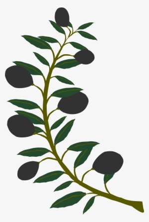 Black Big Image Png - Watercolor Olive Branch Png