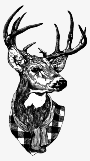 Deer, Hipster, And Png Image - Deer Hipster Png
