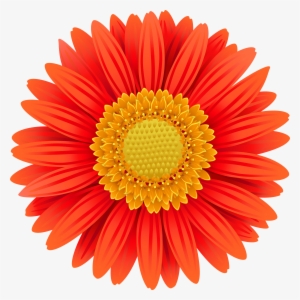 5 Watercolor Sunflower - Daisy Flowers Clip Art