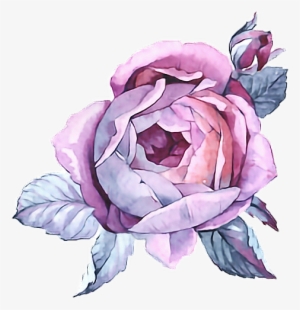 Rose Paint Purple Flower Watercolor Watercolour Paintin - Watercolor Painting