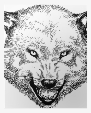 Wolf Head Png
