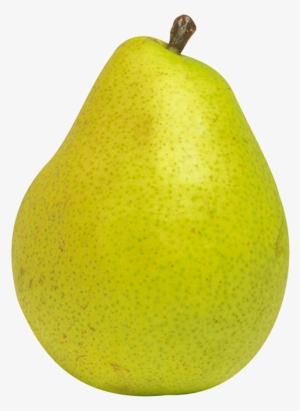 Pear Fruit Png Clipart - Nashpati Clipart