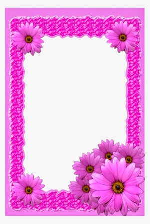 Pink Flower Png Frame - African Daisy